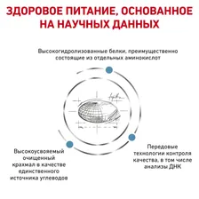 Royal Canin Anallergenic AN18 для взрослых собак при пищевой аллергии или непереносимости, 8 кг 633080